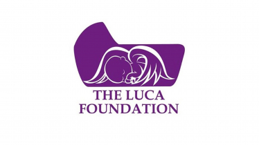 Luca Foundation 